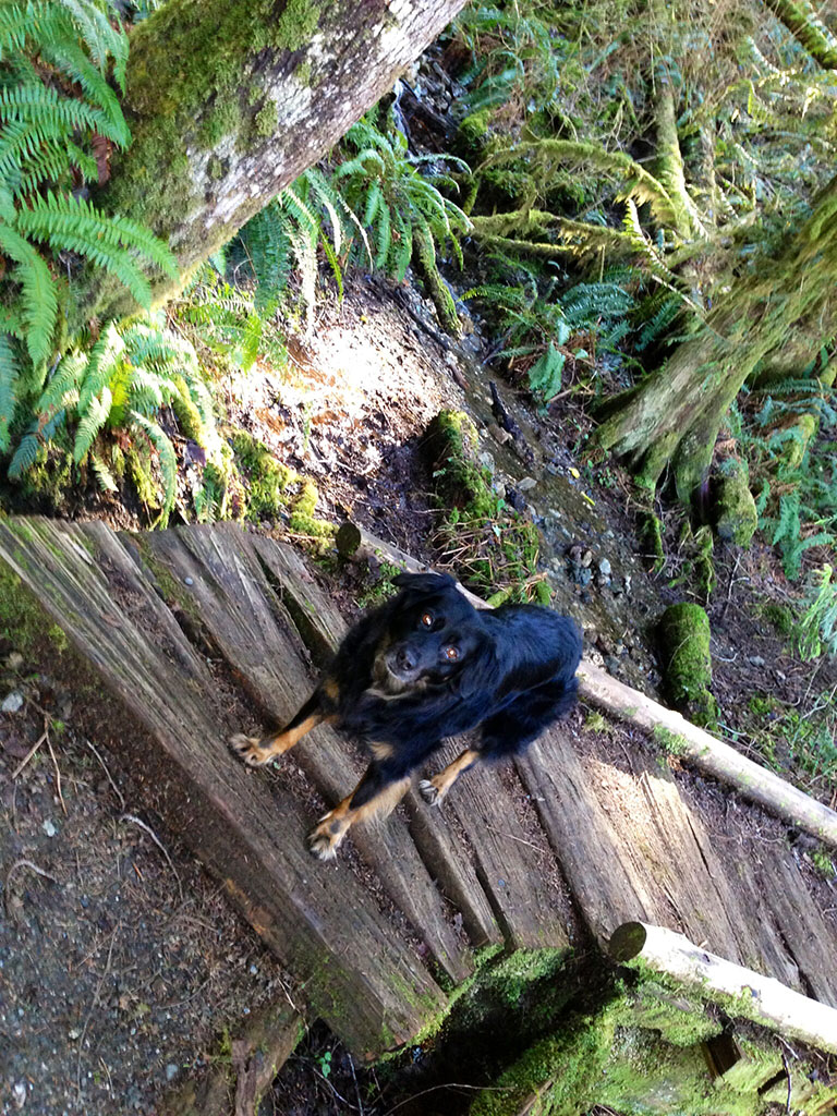 Jazzmyn hiking